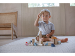 PlanToys PlanToys Kreativní stavebnice "Orchard"