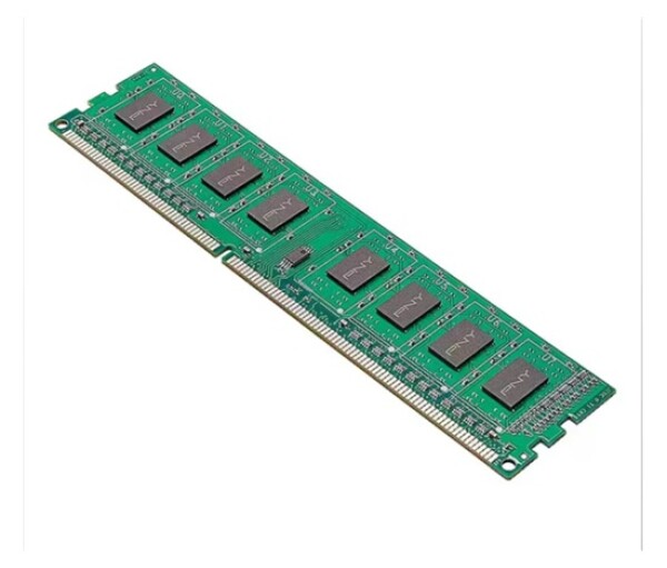 PNY DIMM DDR3 8GB 1600MHz CL11 EDF_1096041