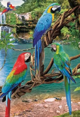 EUROGRAPHICS Puzzle Save Our Planet: Papoušci Ara XL