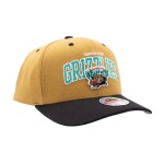 Mitchell & Ness Pánská kšiltovka Vancouver Grizzlies NBA Team Arch Classic Red Stretch-Snap Khaki