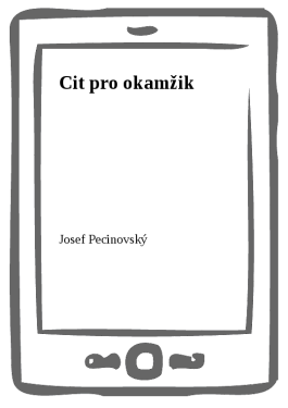 Cit pro okamžik - Josef Pecinovský
