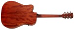 Ibanez PF10CE Natural