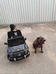 Mamido Elektrické autíčko Mercedes G63 AMG 4x4 EVA kola 12V7Ah černé