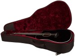 Taylor 250ce-BLK Plus