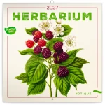 NOTIQUE Herbář 2027 / Poznámkový kalendář / 30 x 30 cm / Plastic Free