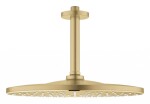 GROHE - Rainshower Mono Hlavová sprcha, průměr 31 cm, kartáčovaný Cool Sunrise 26560GN0
