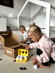 Mamido Montessori box XXL 44ks Geometrické Tvary Barvy 25-30 měsíců