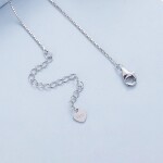 Stříbrný náhrdelník stříbro 925/1000, Stříbrná 40 cm cm (prodloužení)