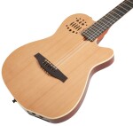 Godin A 10 Natural Steel Mahogany Cedar SG