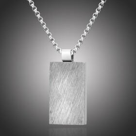 Pánský náhrdelník Julien chirurgická ocel, Stříbrná 50 cm + 5 cm (prodloužení)