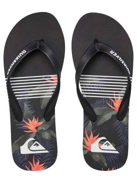 Quiksilver MOLOKAI JUNGLE BLACK/GREY/BLACK pánské žabky - 40EUR