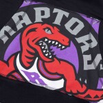 Mitchell & Ness Pánská mikina Toronto Raptors NBA Cropped Logo Hoodie Velikost: XL