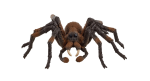 Schleich Harry Potter Aragog