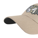 Chicago Blackhawks Sure