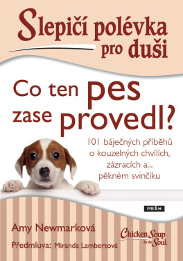 Slepičí polévka pro duši: Co ten pes zase provedl? - Amy Newmark, Miranda Lambertová