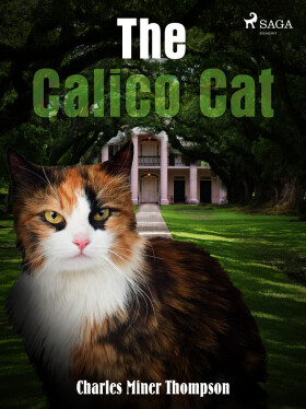 The Calico Cat - Charles Miner Thompson