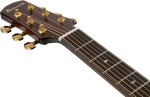 Ibanez AAD361CE TKR