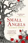 Small Angels: ´A twisting gothic tale of darkness, intrigue, heartbreak and revenge´ Jennifer Saint - Lauren Owen