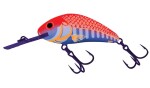 Salmo Wobler Rattlin Hornet Floating 6,5cm - Natural Perch,Salmo Wobler Rattlin Hornet Floating 6,5cm - Natural Perch