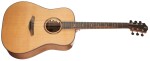 Furch Rainbow D-CW
