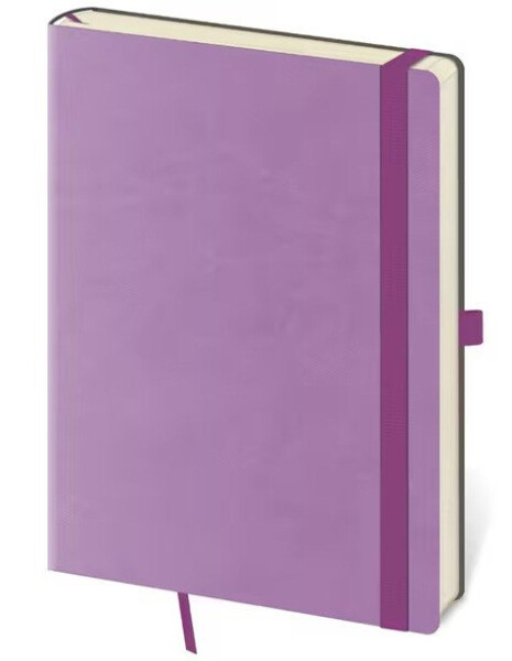 Zápisník Flexies Violet - tečkovaný L