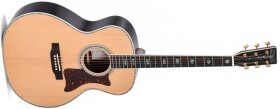 Sigma Guitars SGR-41