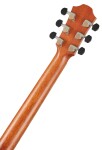 Furch Red Deluxe Gc-LR CNR Active