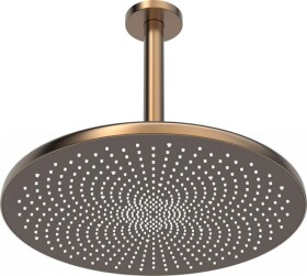 HANSA - Aurelia Hlavová sprcha, průměr 30 cm, broušený bronz 4727030081