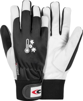 Rukavice Cofra Coldext Barva: Bílá;Šedá, Velikost rukavic: 8, 1 ks (G115_DD00_Z08)