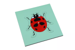 Moyo Montessori Moyo Montessori Puzzle - beruška