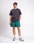 Patagonia M's Baggies Shorts - 5" '95 Oval Logo: Gem Green S