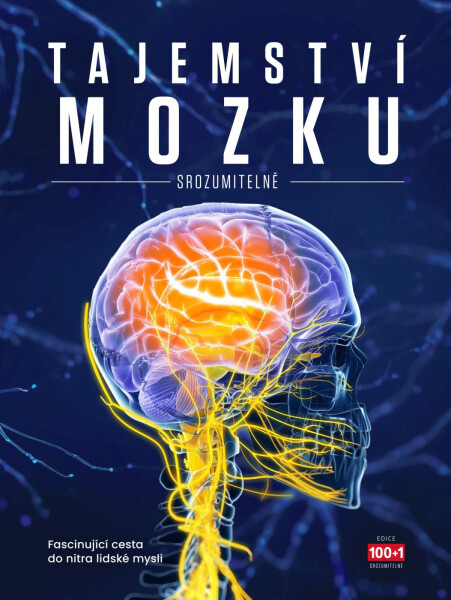 Tajemství mozku srozumitelně - Ben Biggs