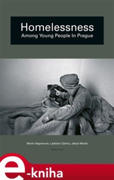 Homelessness among young people in Prague. A narrative analysis of developmental trajectories - Marie Vágnerová, Ladislav Csémy, Jakub Marek e-kniha