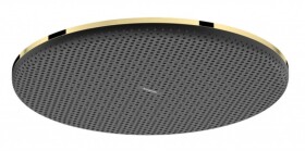 HANSGROHE - Raindance Alive S Hlavová sprcha, průměr 30 cm, leštěný vzhled zlata 24520990