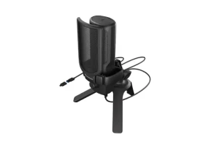 Genesis Radium 250 černá / Streamovací mikrofon / USB Type-C / Kondenzátorový / Kardioidní / RGB podsvícení (NGM-2352)