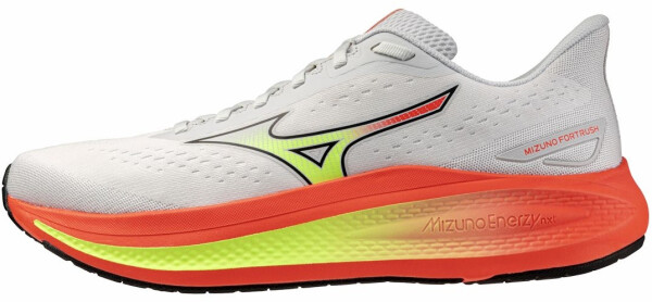 Běžecké boty Mizuno FORTRUSH J1GC264851 Velikost obuvi v EU: 44