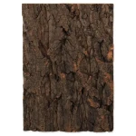 Repti Planet Pozadí korek přírodní 19x27.3x2cm (007-54040)