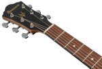 Ibanez VC40WSCE Brown