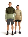ICEBREAKER Mens Mer 200 Realfleece Descender LS Zip H, Dark Loden/Lichen/Cb velikost: L
