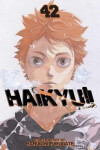 Haikyu!! 42 - Haruichi Furudate