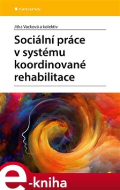 Sociální práce v systému koordinované rehabilitace. u klientů po získaném poškození mozku (zejména CMP) se zvláštním zřetelem - kolektiv e-kniha