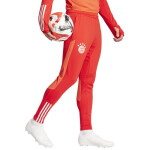 Pánské tréninkové slipy adidas FC Bayern IQ0605