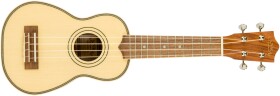 Lanikai SPST-S