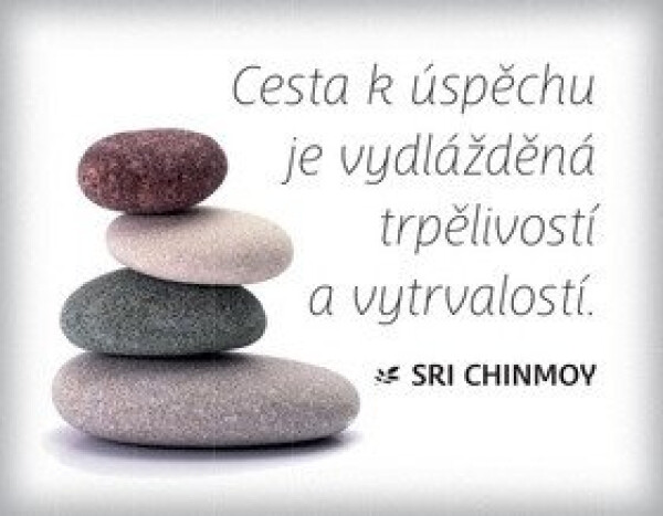 Magnet na lednici Cesta úspěchu je vydlážděná trpělivostí vytrvalostí