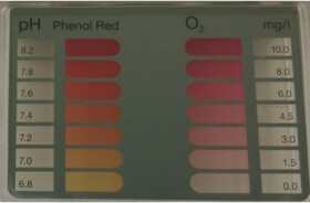 Marimex tester na bezchlorovou chemii (O2) (11314001)