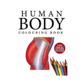 Human Body Colouring Book - Peter Abrahams