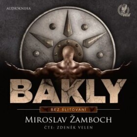 Bakly: Bez slitování - Miroslav Žamboch - audiokniha