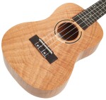 Tanglewood TWT 6