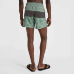 Plavecké šortky O'Neill Mix&Match Cali Block 15'' 92800613820