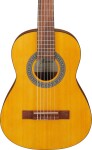 Ibanez GA1 Amber